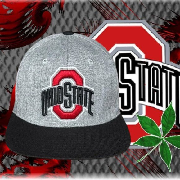 Official Ohio State Buckeyes Gray Tweed Full Embroidered Logo Snapack Hat Cap OS - Picture 1 of 11